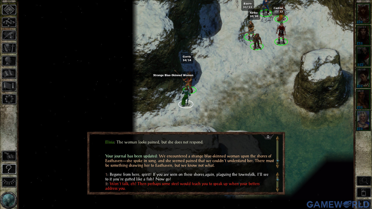 icewind dale 1
