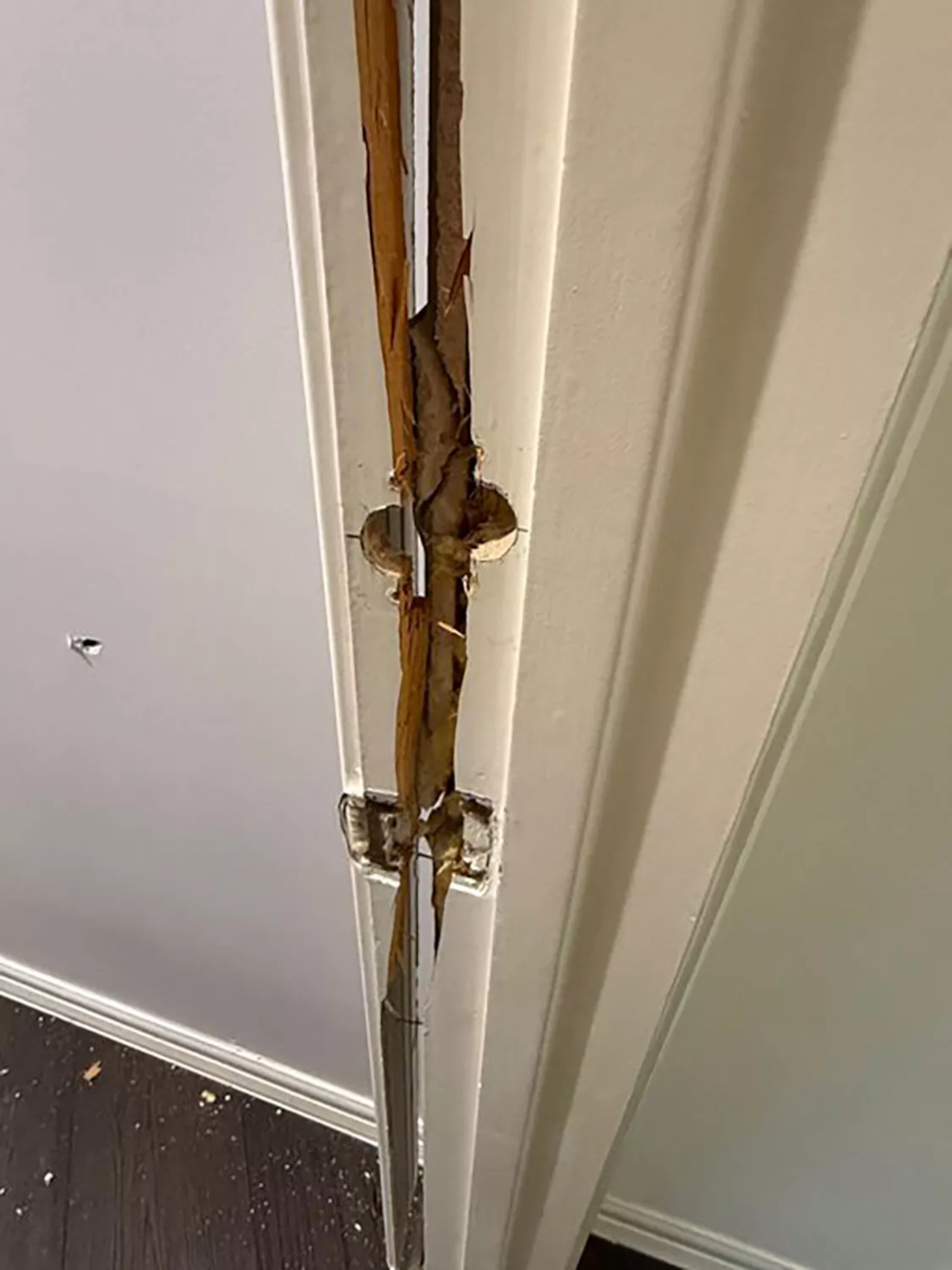 amouranth broken door 2