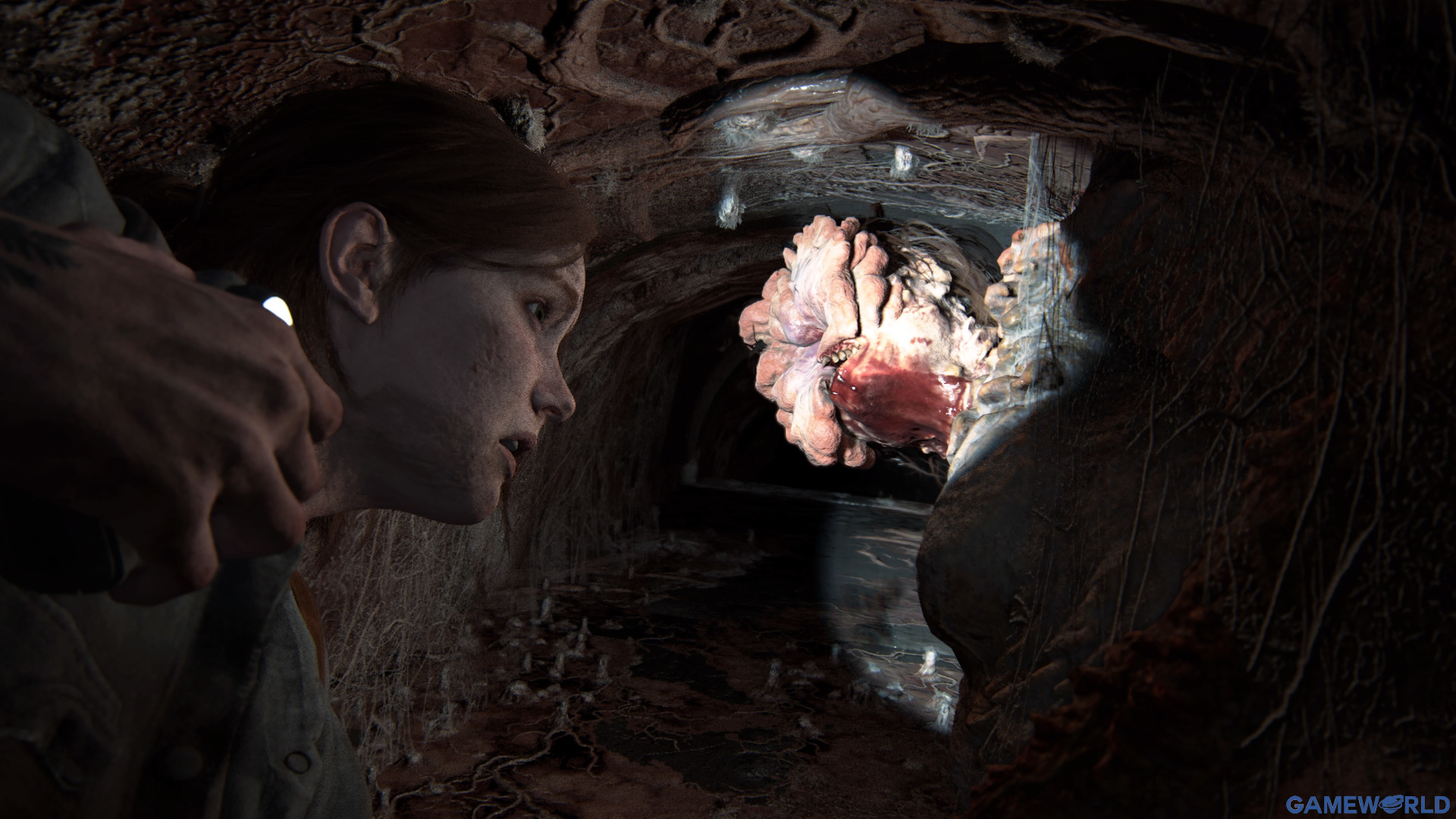 the last of us part 2 remastered 2
