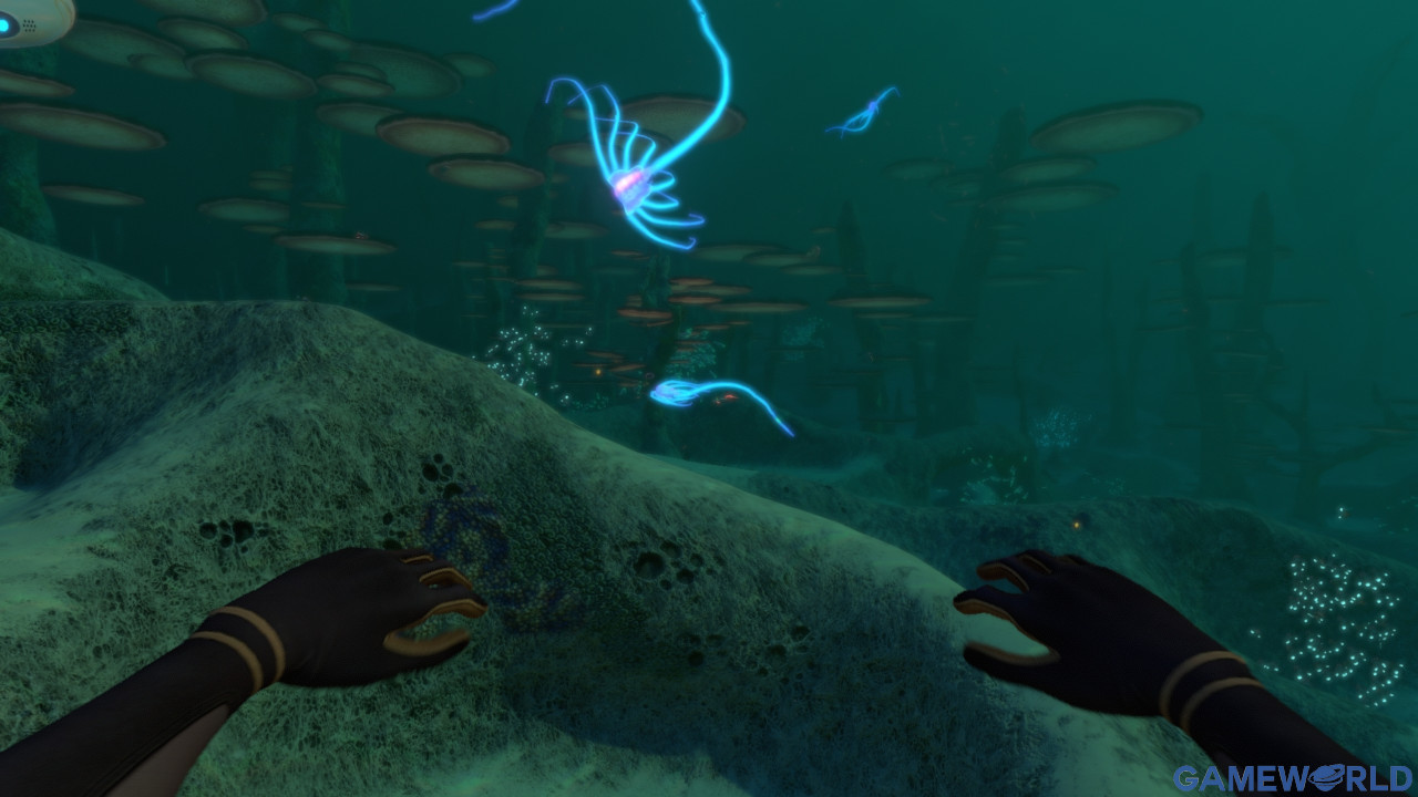 subnautica 5