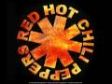Red Hot Chili Peppers - Snow ( Hey oh ) ( Lyrics in Description )